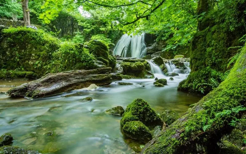 可靠性高质量高标准